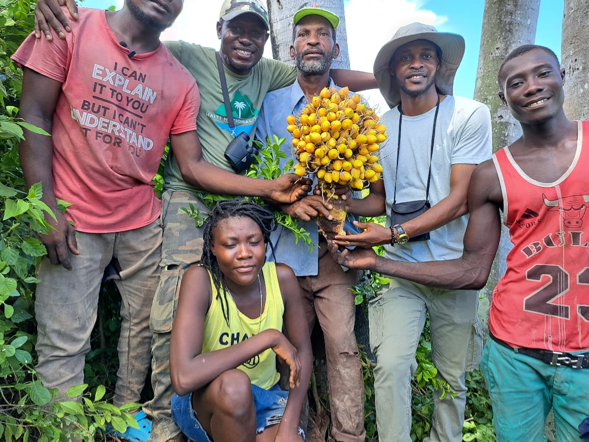 Photos de graines de Carossier trouvées près de Cavaillon